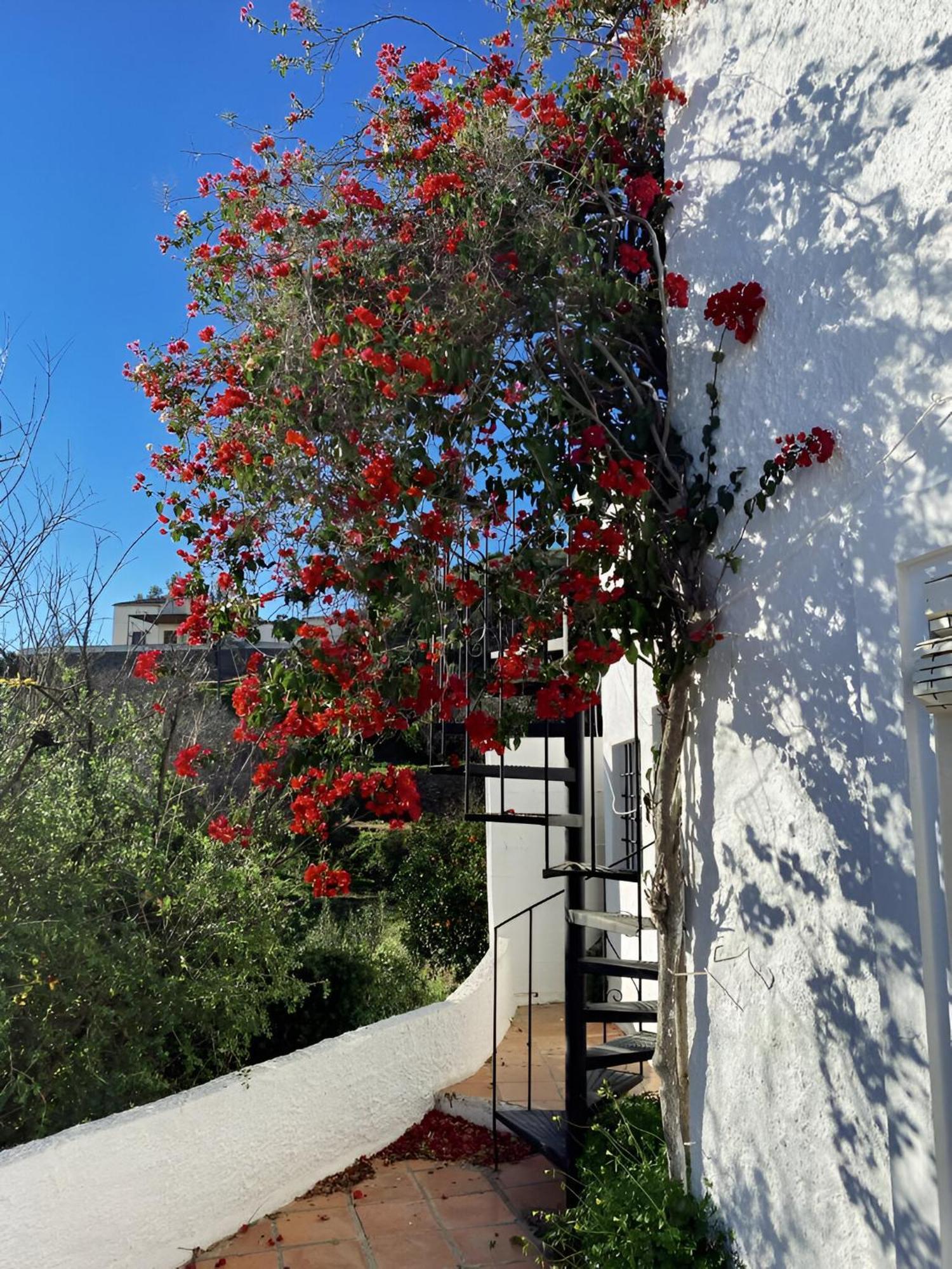 Cortijo De La Fuente Con Vistas Impresionantes Y Playas A 20 Minutos Villa Bédar Kültér fotó